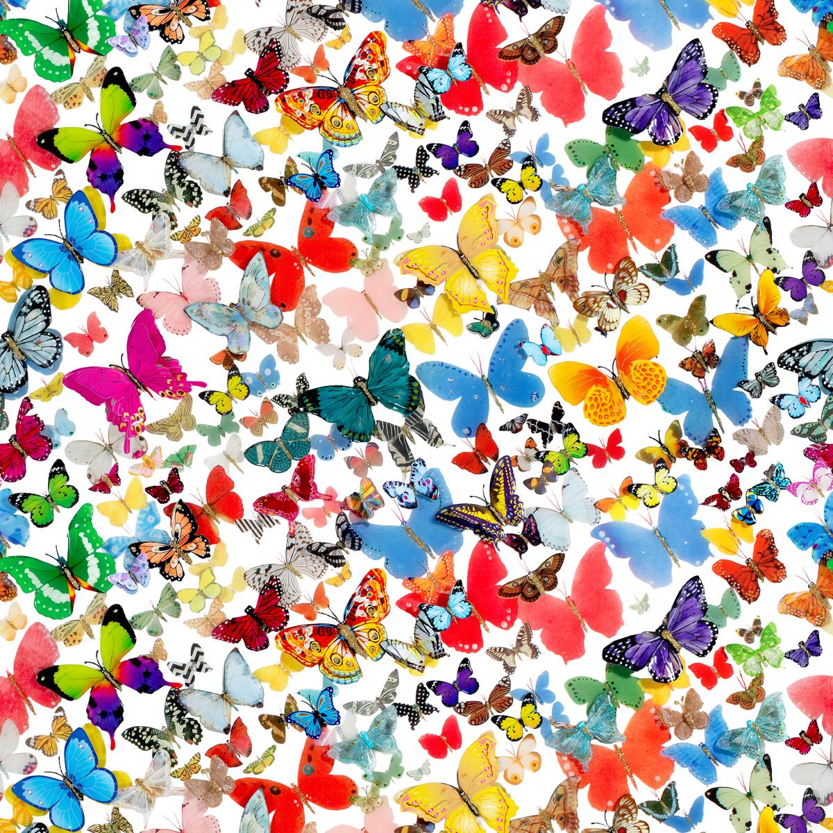 Robert Swedroe - Butterfly Frenzy Fabric