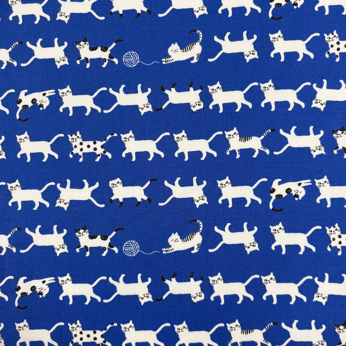 Simply Palette Cat Prints Cotton Oxford - Blue YPA-69010-1
