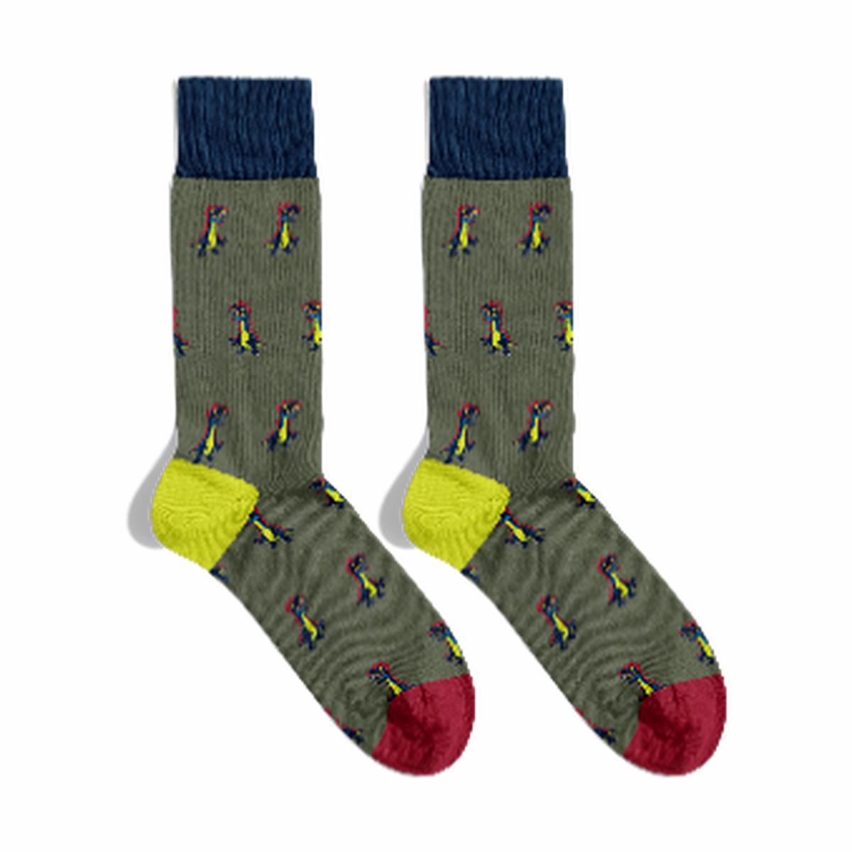 Chaussettes Dinosaures 8211 Kaki