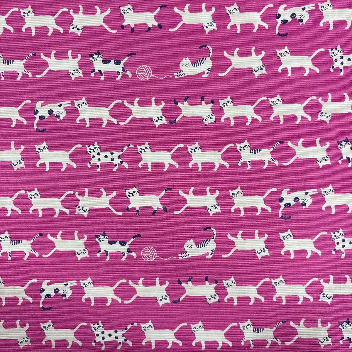 Simply Palette Cat Prints Cotton Oxford - Pink YPA-69010-1