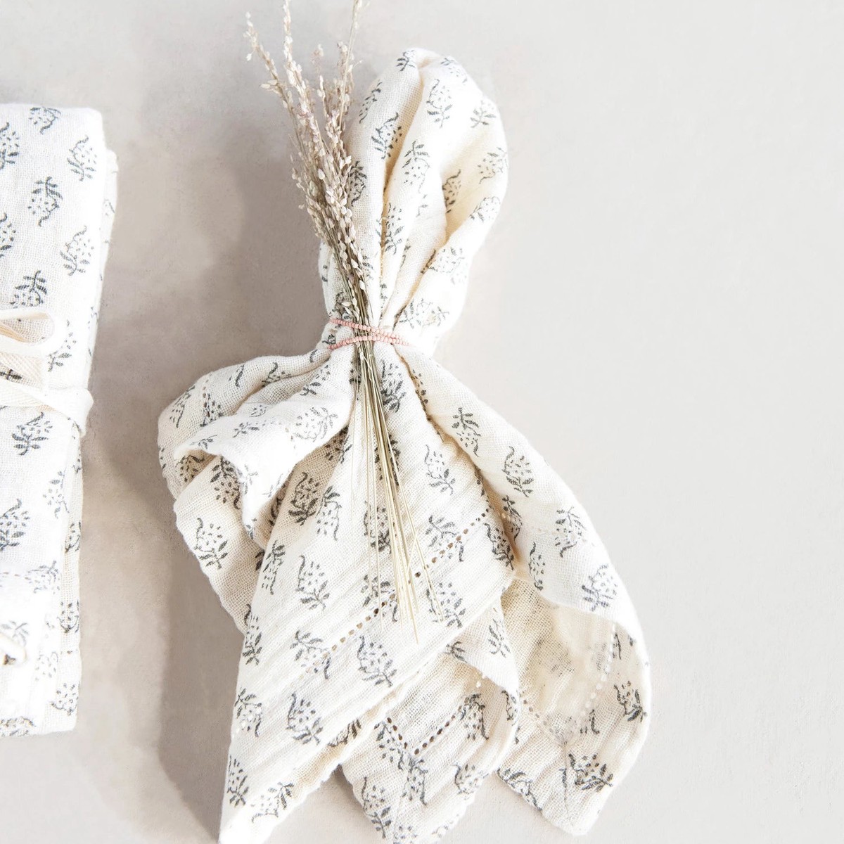 Botanist Cotton Napkin Set of 4