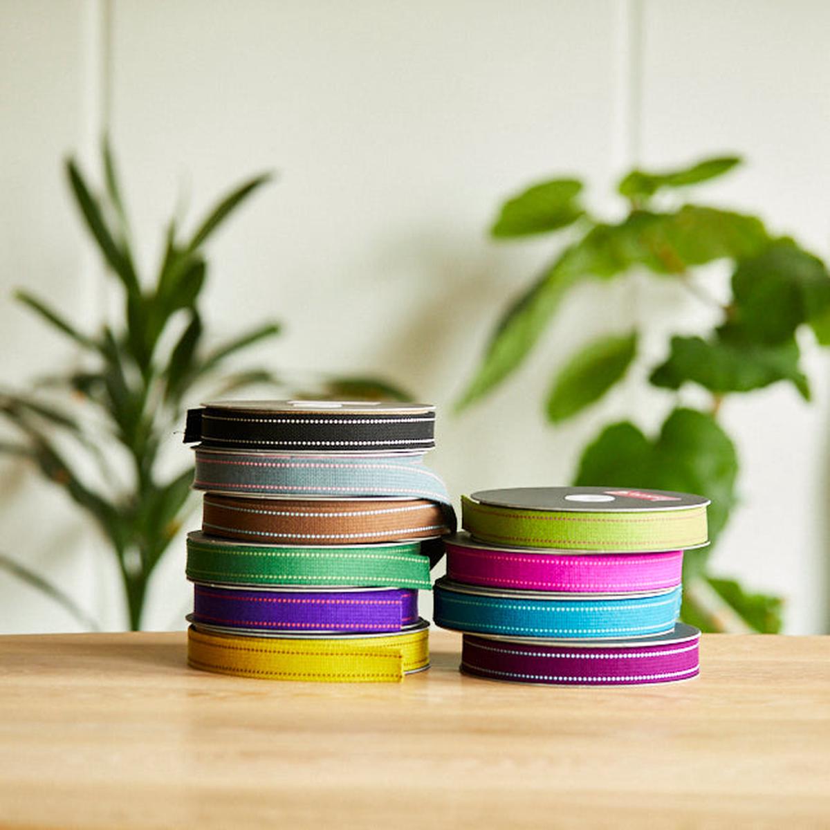 echino Stitch Webbing