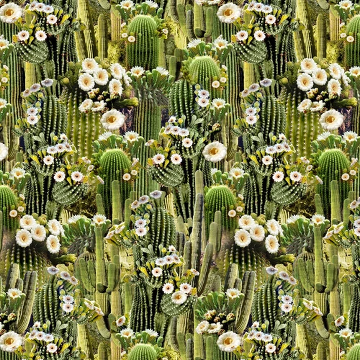 Southwest Sunset Flowering Saguaro Cactus BTY 44" Wide Timeless Treasures