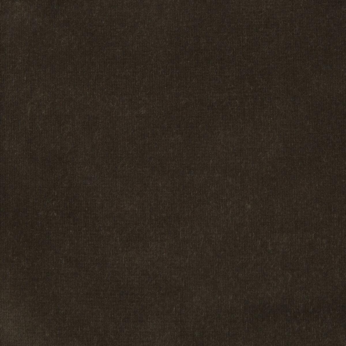 KRAVET DESIGN - KRAVET DESIGN- VERSAILLES-E205370 - Fabric by the Yard - VERSAILLES-E205370