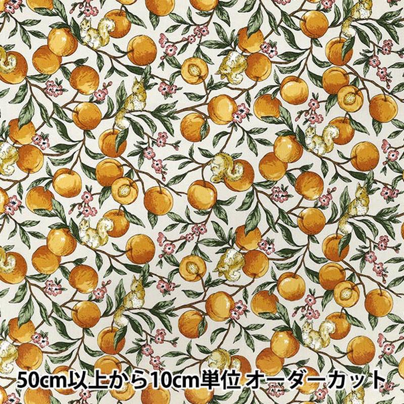 [Quantity starting from 5] Fabric Sheeting Fruit squirrel Ivory YZ55103-1A”
