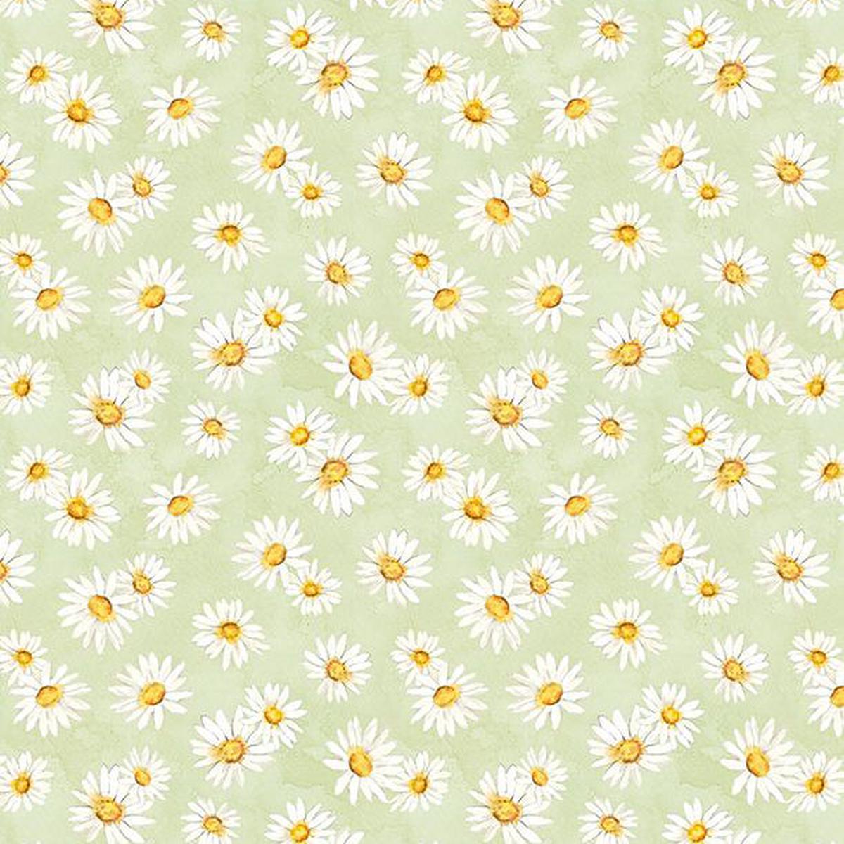 Zest for Life Collection Daisy Toss Cotton Fabric 19156