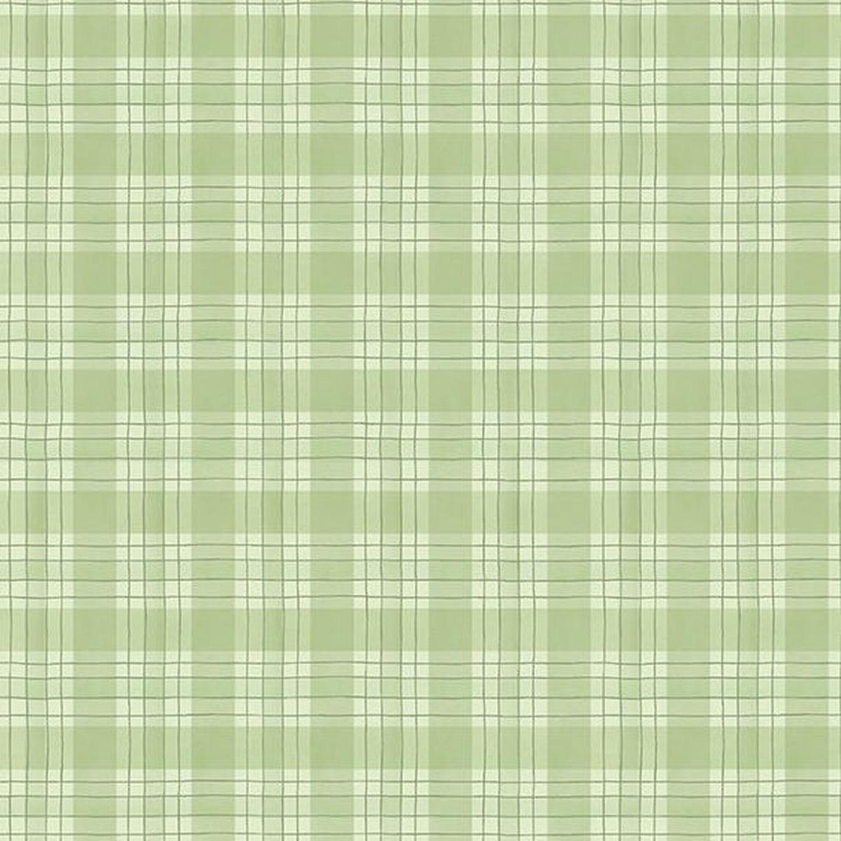 Zest for Life Collection Plaid Cotton Fabric 19159